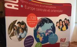 fr11_250x154_crop_478b24840a