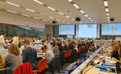 20191011-113145_250x154_crop_478b24840a