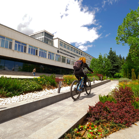 2244523_280x280_crop_478b24840a