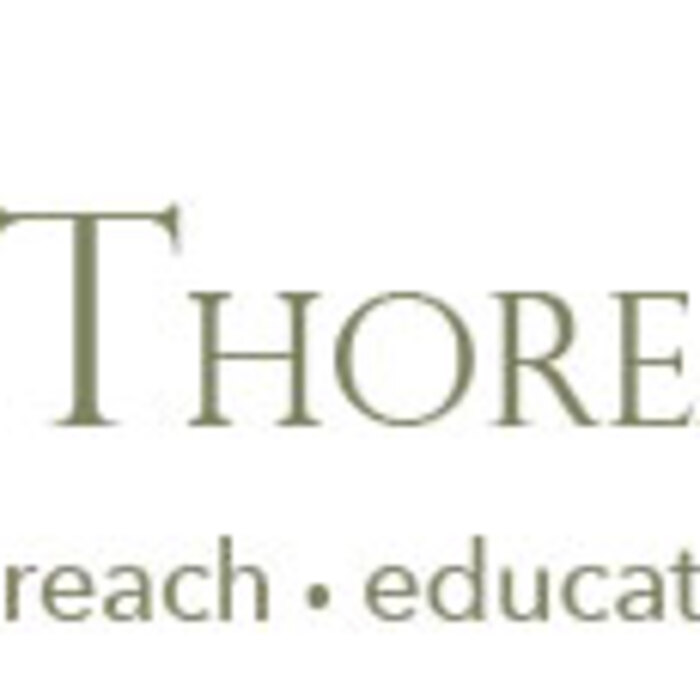 logo4-toro_700x700_crop_478b24840a