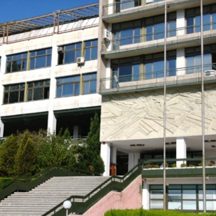 uzu3_700x700_crop_478b24840a