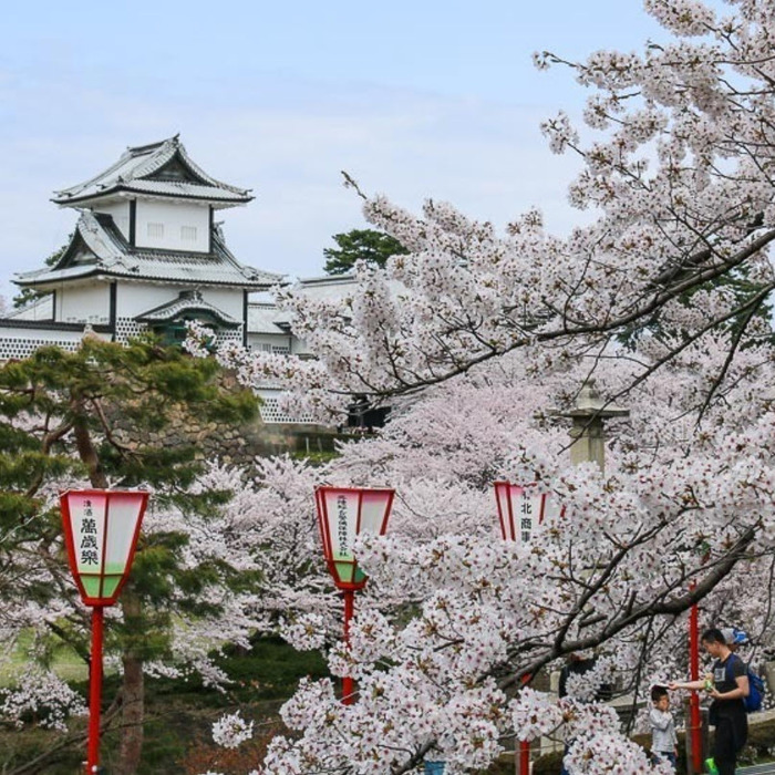 castle_700x700_crop_478b24840a