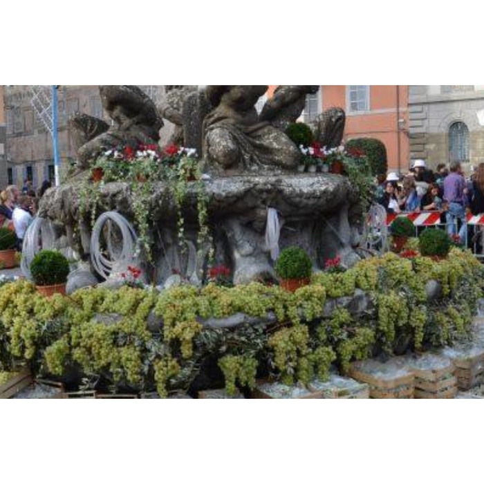 sagra-vino-2_700x700_crop_478b24840a