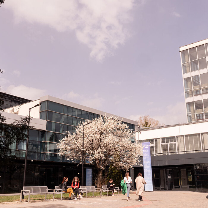 2544042_700x700_crop_478b24840a