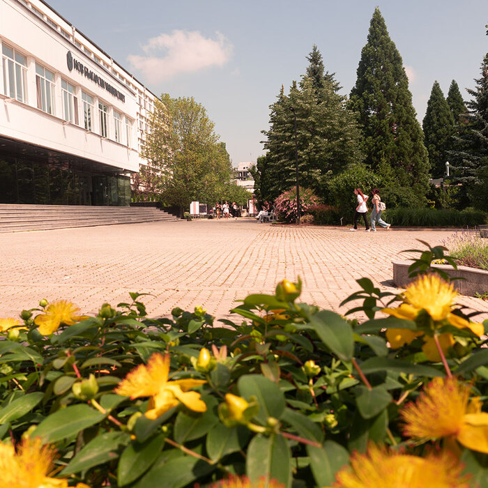 2588939_700x700_crop_478b24840a