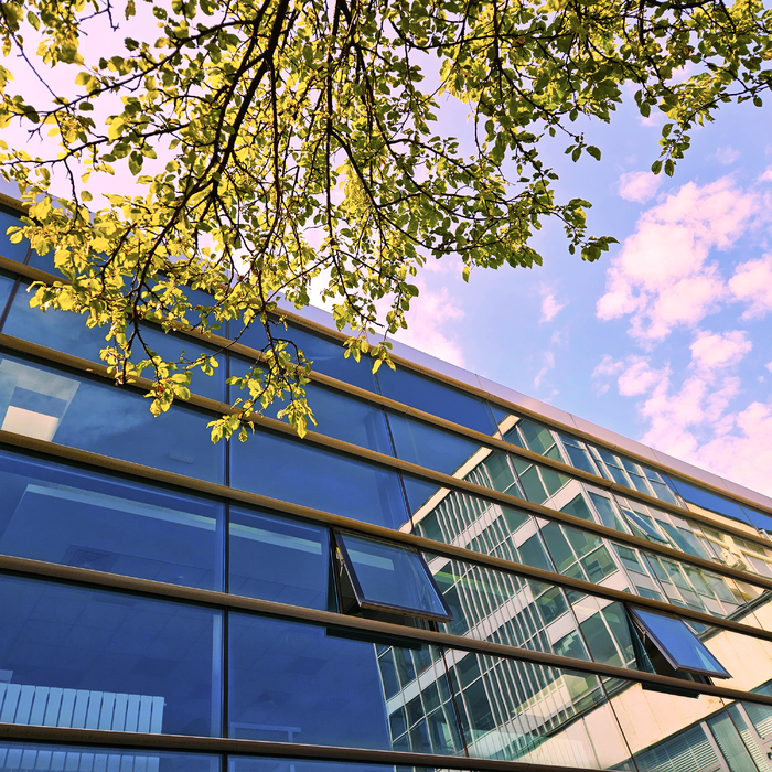 nbu-3_700x700_crop_478b24840a