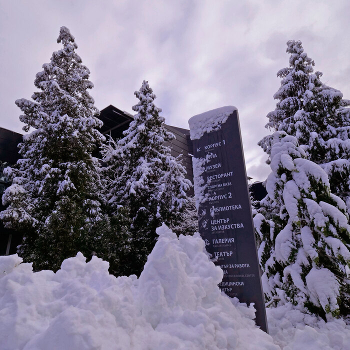 2455353_700x700_crop_478b24840a