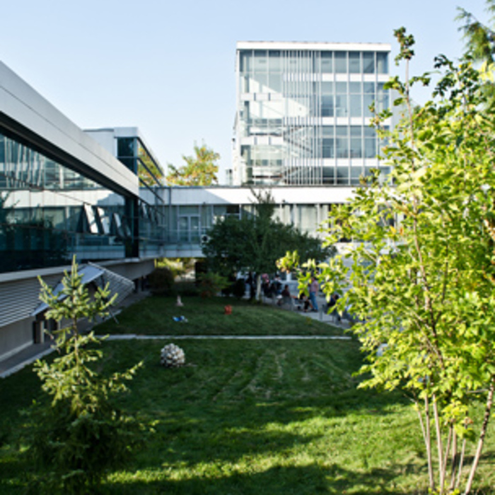 schools-1_700x700_crop_478b24840a